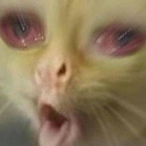 Meet your Posher, Sky